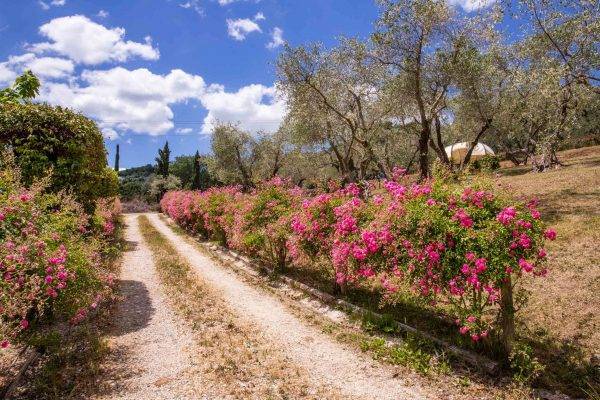 L'Orto di Hans 26 maggio 2020 20 LD